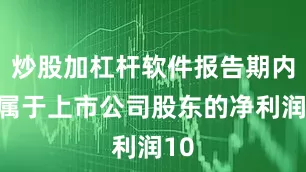 炒股加杠杆软件报告期内归属于上市公司股东的净利润10
