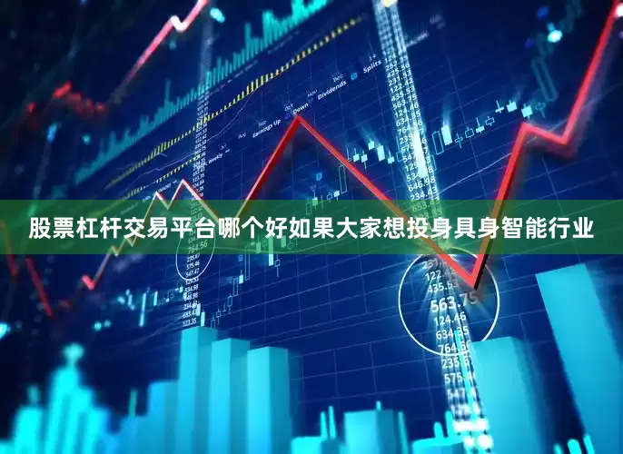 股票杠杆交易平台哪个好如果大家想投身具身智能行业