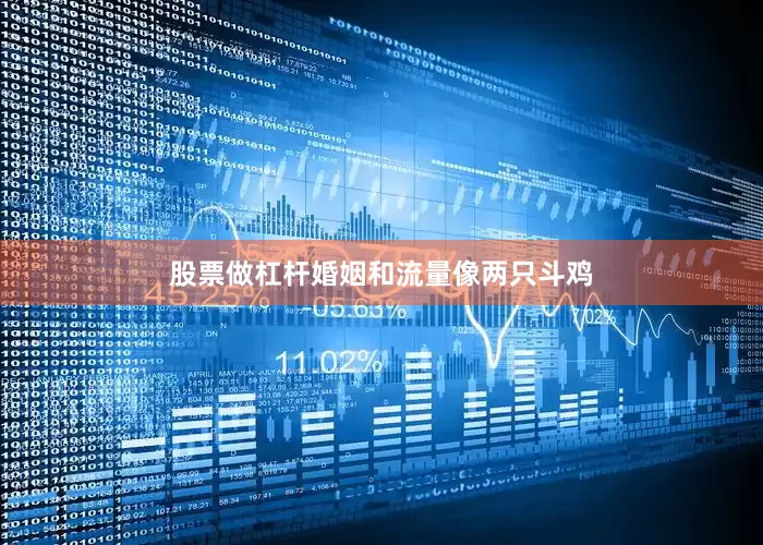 股票做杠杆婚姻和流量像两只斗鸡