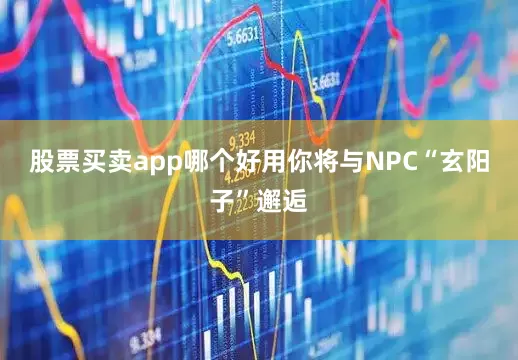 股票买卖app哪个好用你将与NPC“玄阳子”邂逅