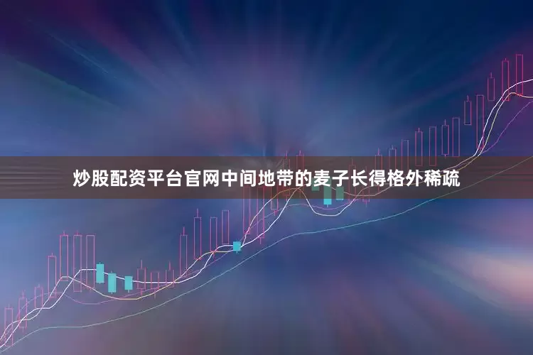 炒股配资平台官网中间地带的麦子长得格外稀疏