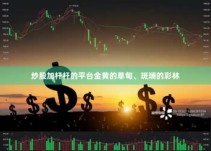 炒股加杆杆的平台金黄的草甸、斑斓的彩林
